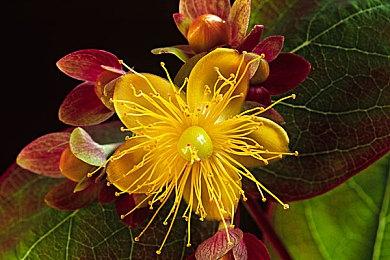 任天堂发言人确认第一方实体Switch2游戏不使用keycard